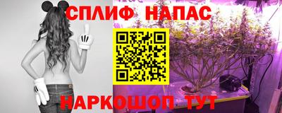 дмт Апшеронск