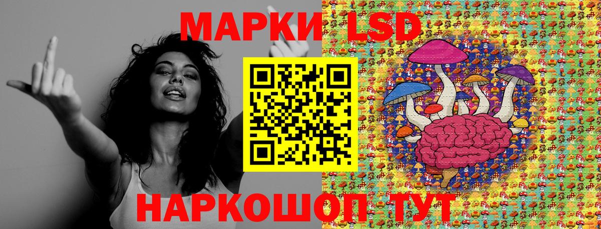 Марки NBOMe 1500мкг  Марки 25I-NBOMe  Марки NBOMe 1500мкг  Тында  Вход с VPN 