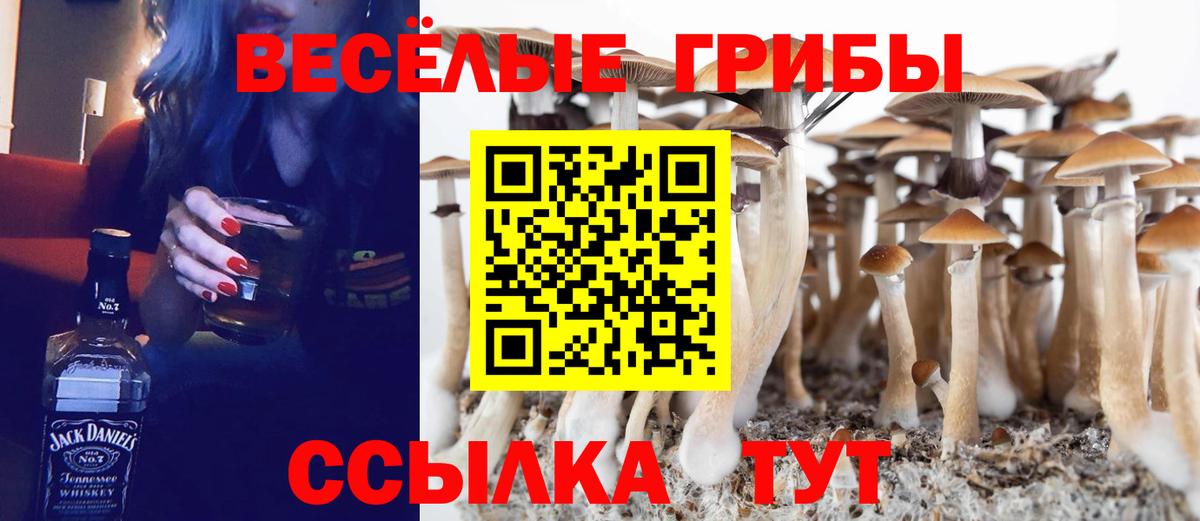 Тында  Псилоцибиновые грибы мицелий  Вход с VPN 