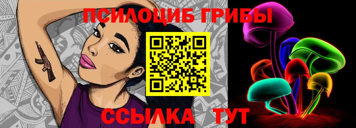 Псилоцибиновые грибы Cubensis Тында